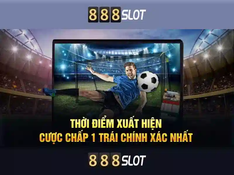 An toàn và thanh toán\n\n<h2><b>Kết luận</b></h2>\n<p><span style=