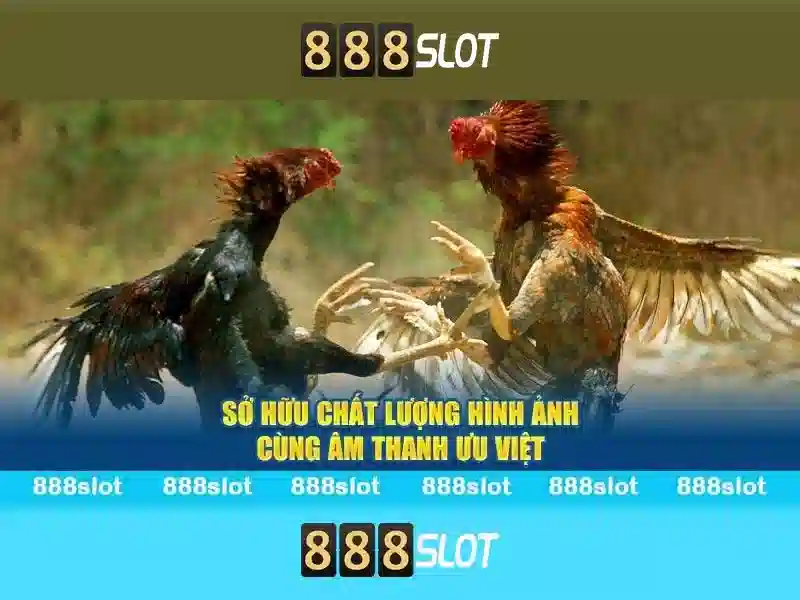 Đồ họa, âm thanh và trải nghiệm người dùng