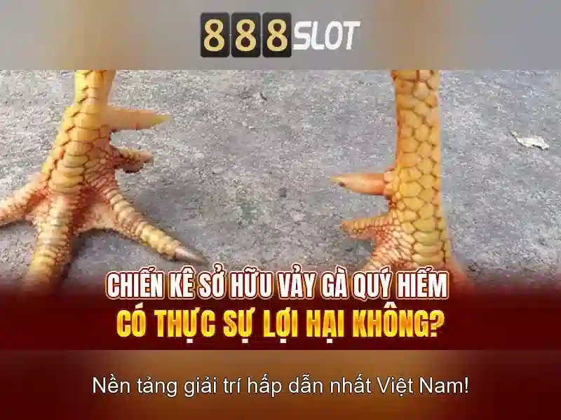 Các tính năng nổi bật