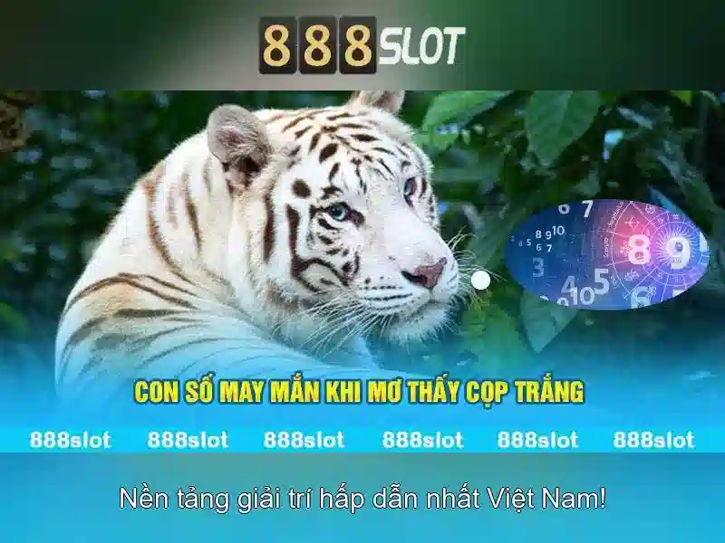 Trò chơi 888slot: Khám phá vận may và chiến lược Giao diện nhà cái hoàn hảo