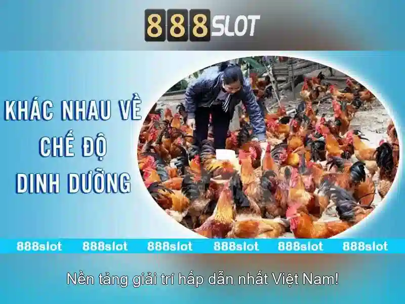 Giao diện nhà cái hoàn hảo
