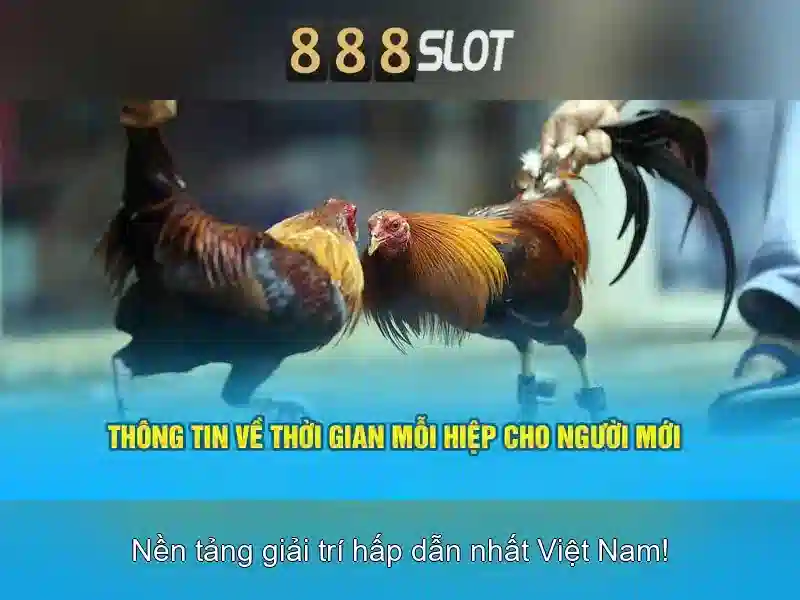 Cách chơi thành công
